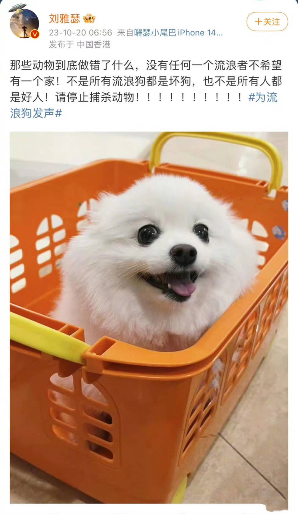 明星谈流浪狗遭反噬,刘雅瑟杨迪被禁言,网友质疑明星发声不单纯_腾讯