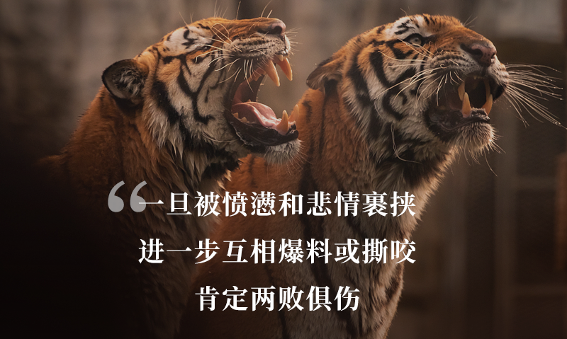 一旦被愤懑和悲情裹挟,进一步互相爆料或撕咬,肯定两败俱伤,引爆更大