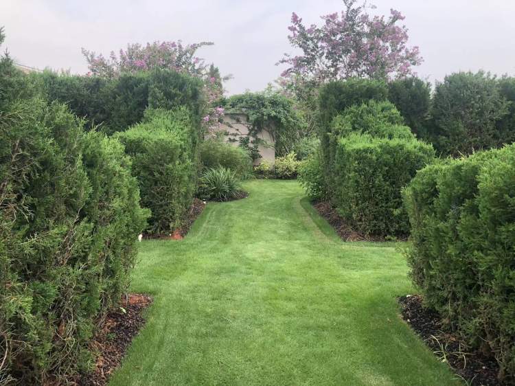 草坪式屋顶绿化夏季可使室内温度降低2-3℃,上海这些地方就有