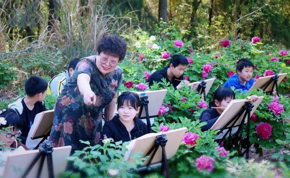 四川西充仙林一次看50多个品种的牡丹花走花路