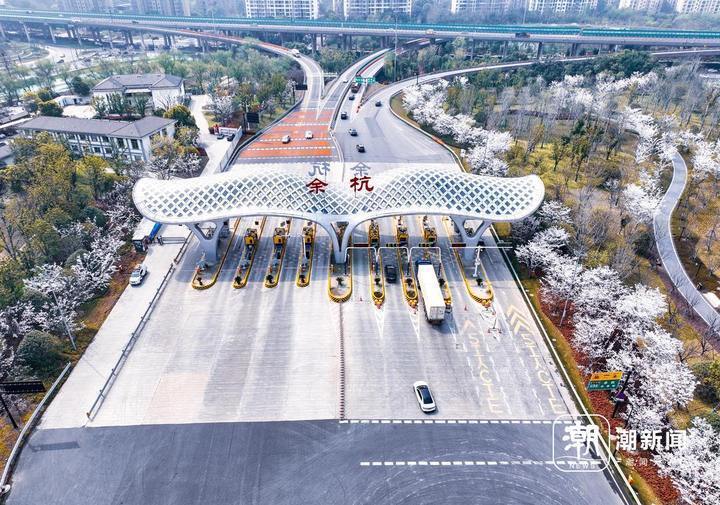 杭州"最美入城口" 樱花烂漫迎宾来