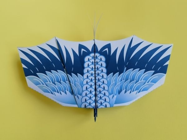 武汉首届纸飞机制作工艺大奖赛来了-腾讯新闻