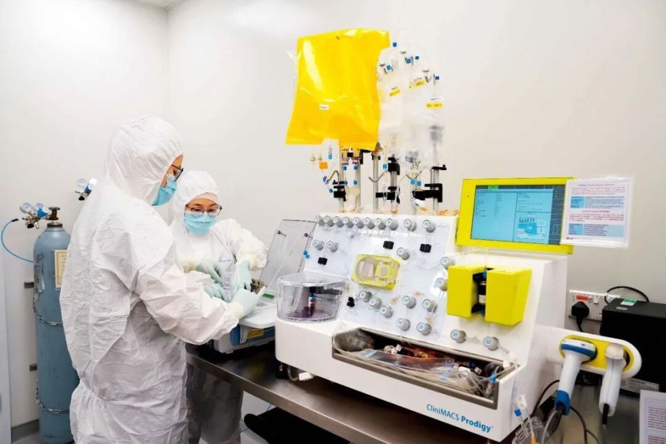 ����Ѫ�鰩����������ˣ�