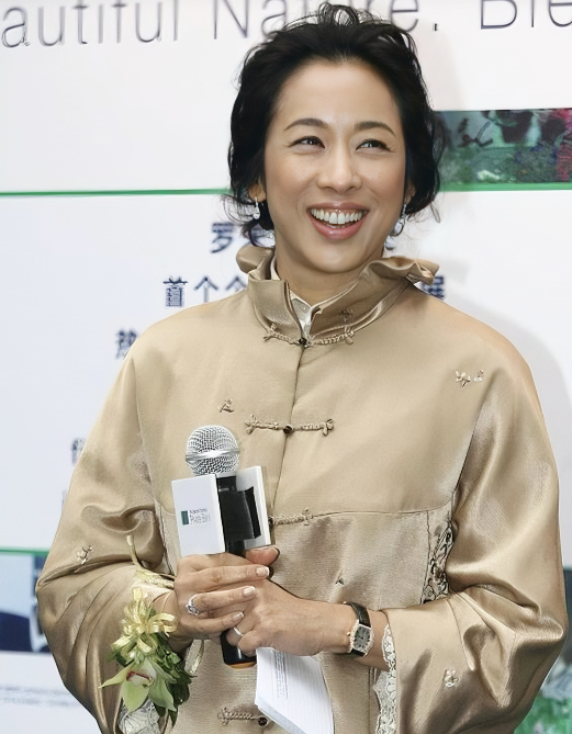 朱玲玲:豪门之外的"隐形女主人",智慧与风度的双重盛宴