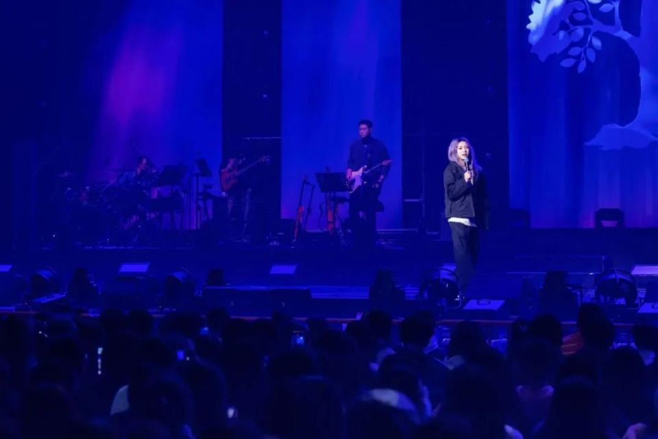 出道容易出头难,为什么赔本也要给上升期艺人做演唱会