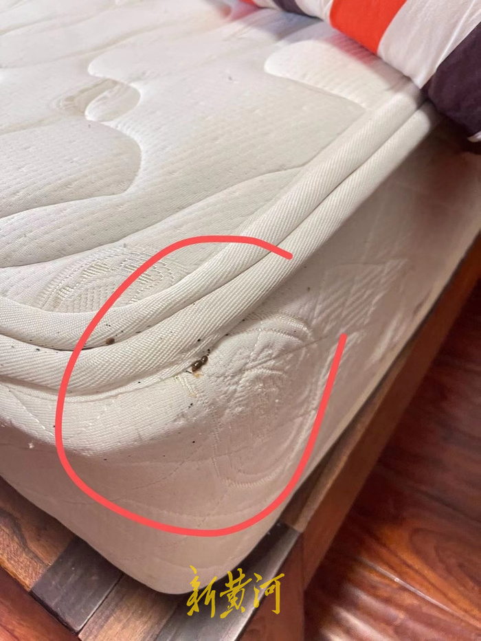 出租房内3岁孩子被床虱咬伤,房东称房子移交完毕不清楚来源