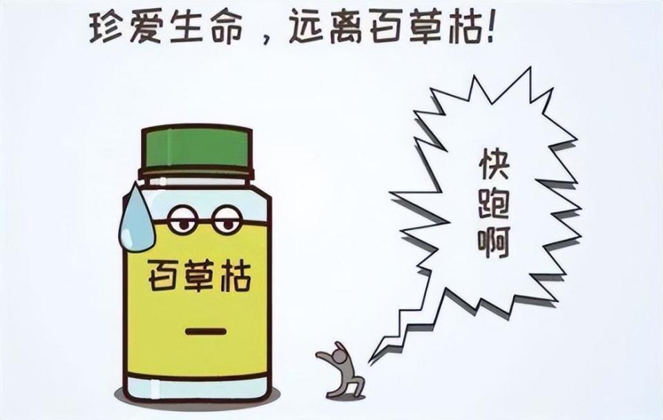 "百草枯之父"李德军:我知道它没有解药,但没想到会有人主动喝