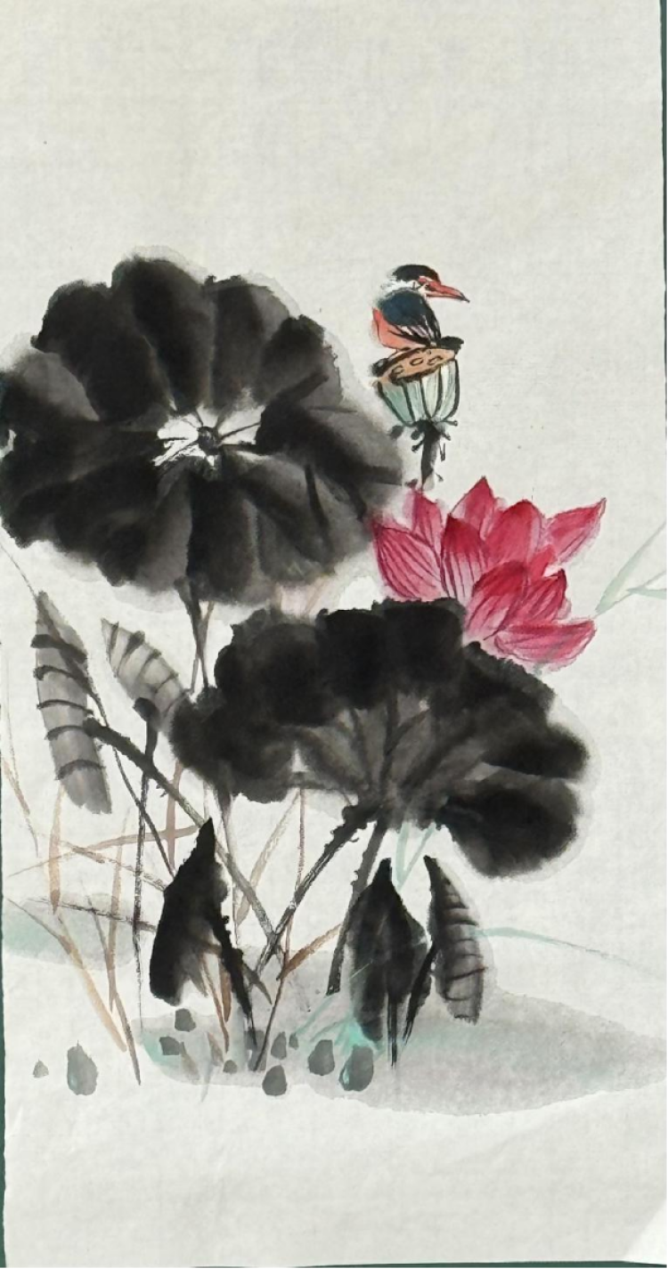 老年大学画《荷花》