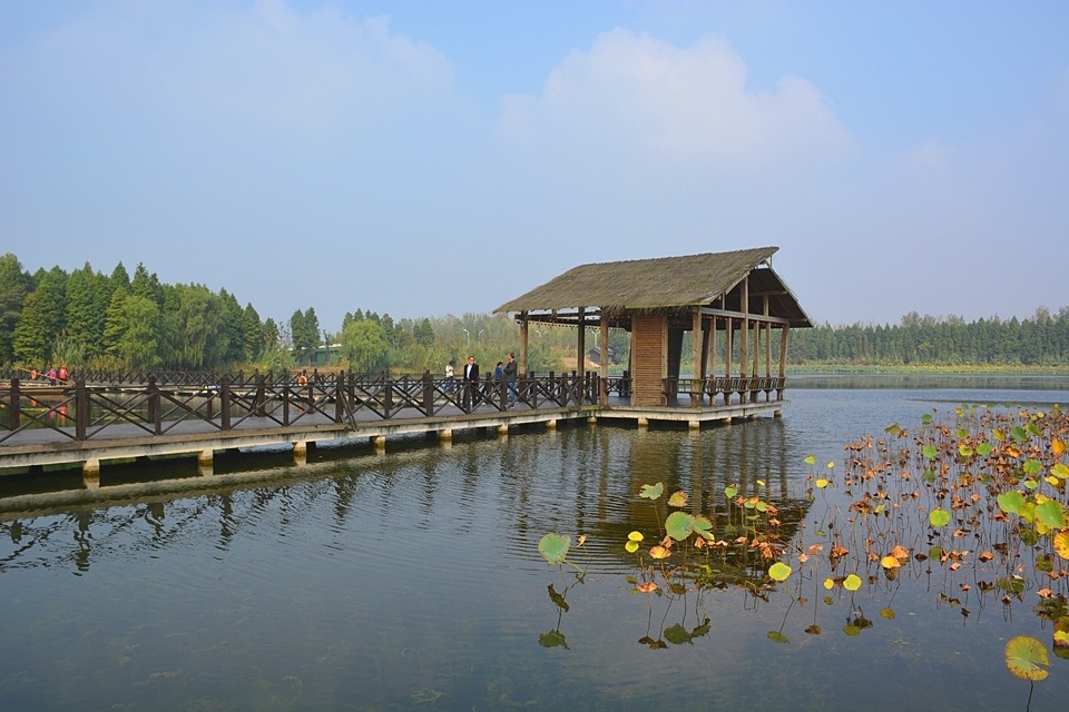 溱湖国家湿地公园之美