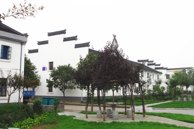 宁波滕头村——中国最美休闲乡村