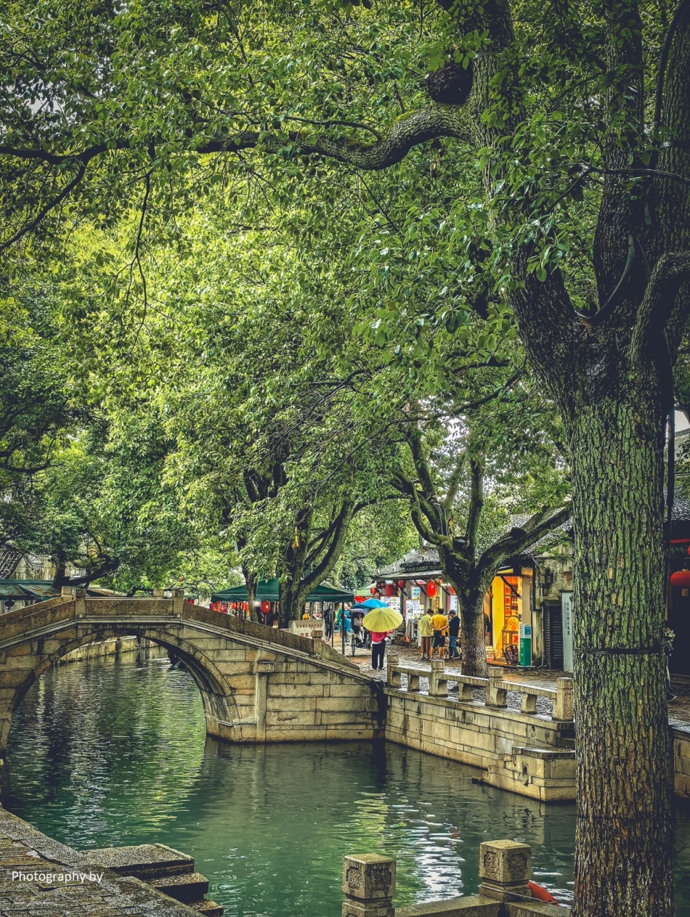 雨中江南古镇图片