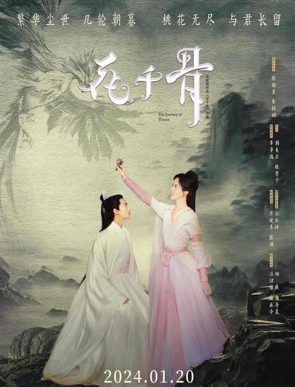 电影版花千骨票房扑街豆瓣评分372024年开年第一烂片