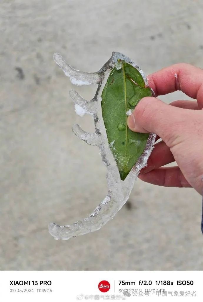 这次武汉及湖北的冻雨,到底极端到了什么程度