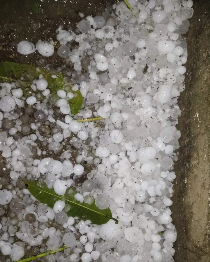 缅北帕敢下"鸡蛋大"的冰雹,屋顶被砸烂,有人被砸伤