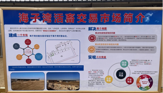 驻村帮扶倾真情 实干铺就振兴路——达旗海子湾村第一书记陈昕阳