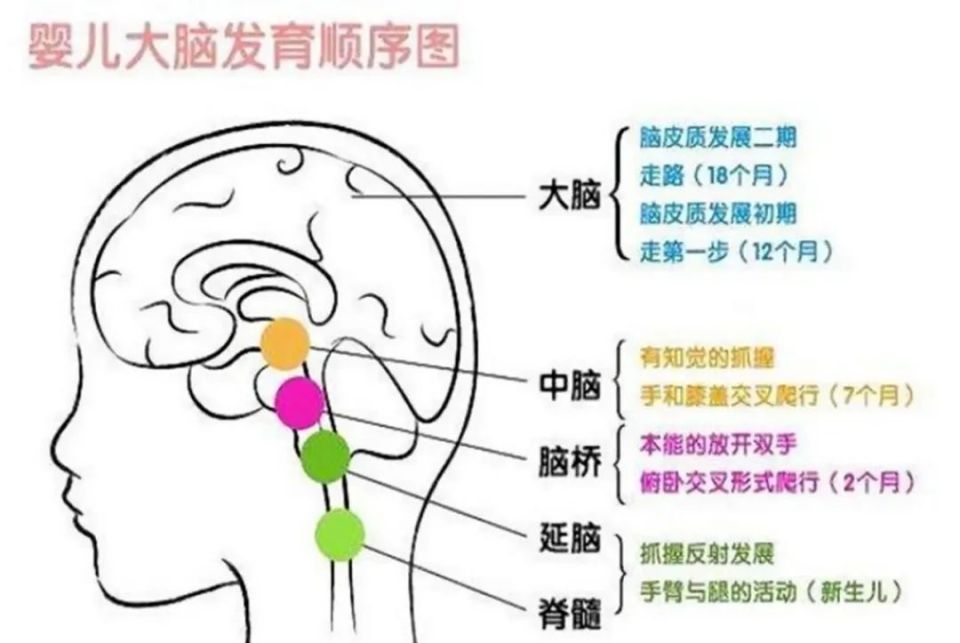 在这一时期,孩子所接受的刺激和经历会深刻影响大脑神经网络的形成.