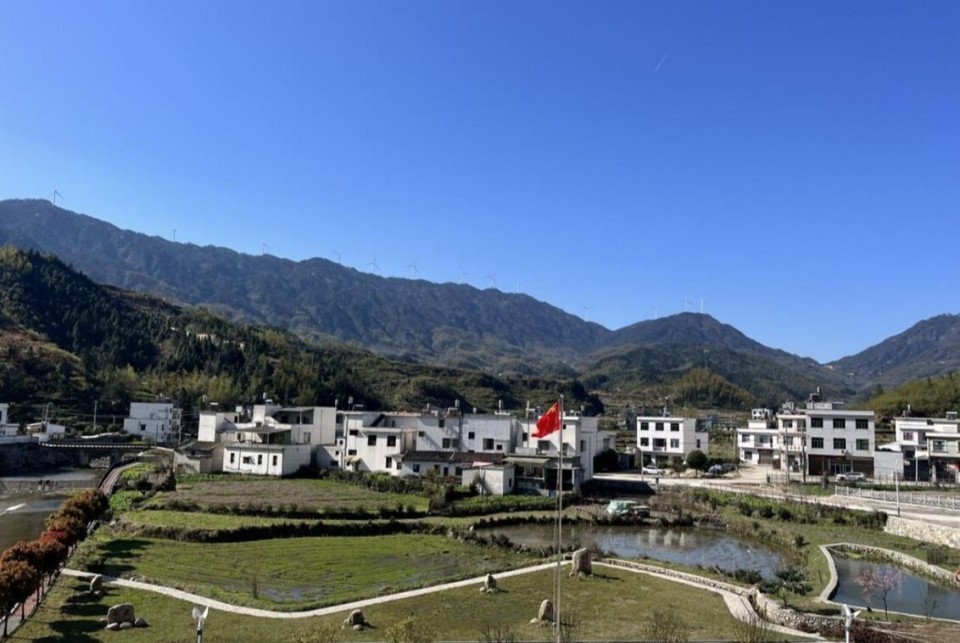 通城县关刀镇:新装扮靓"家乡美",干群掀起"共治风"