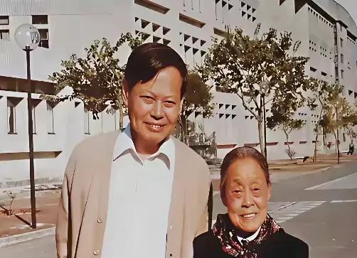 杨武之与妻子吵架，杨振宁保护母亲怒吼父亲，弟弟杨振平称赞哥哥_腾讯新闻
