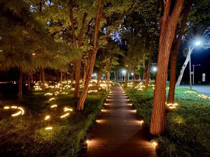 看北京｜夜色入林间！朝阳公园幻光森林点亮城市夜空间_腾讯新闻
