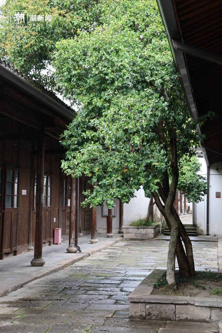 古粮仓,香积素食……"十里银湖墅"citywalk线路今日上新_腾讯新闻