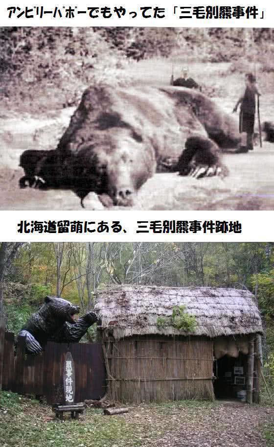 日本再现熊吃人，回顾三毛别罴和福冈大学事件，熊有多狡诈凶猛_腾讯新闻