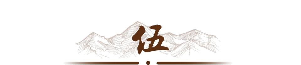 印度经济学家:印度不会是下一个中国,中国制造堵死了印度