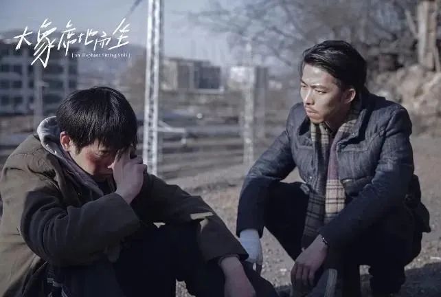 "不再让其他青年导演因您而死"王小帅电影节评审资格被取消,胡波母亲