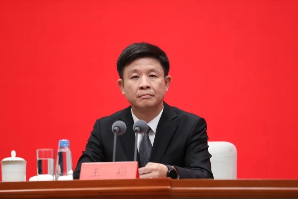 王崧任中央网信办副主任