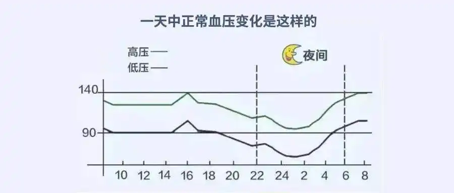 一日血压变化图图片