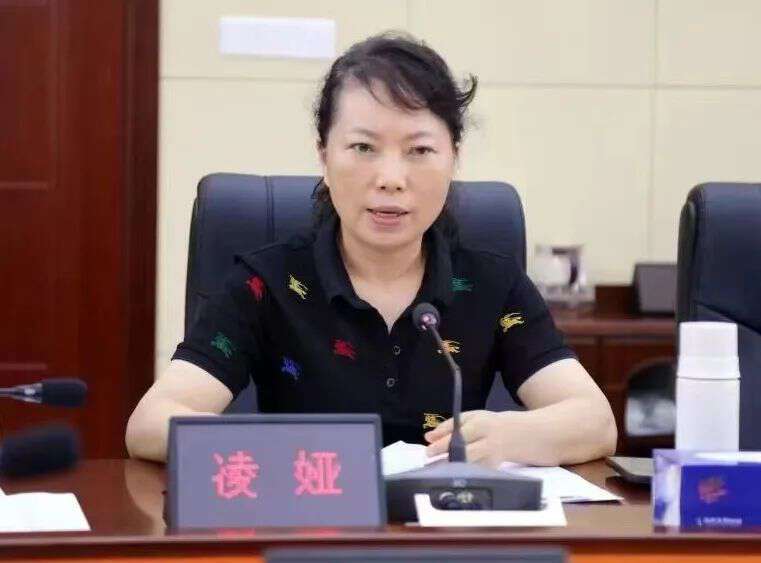 株洲市公安局原党委委员、副局长凌娅主动投案_腾讯新闻