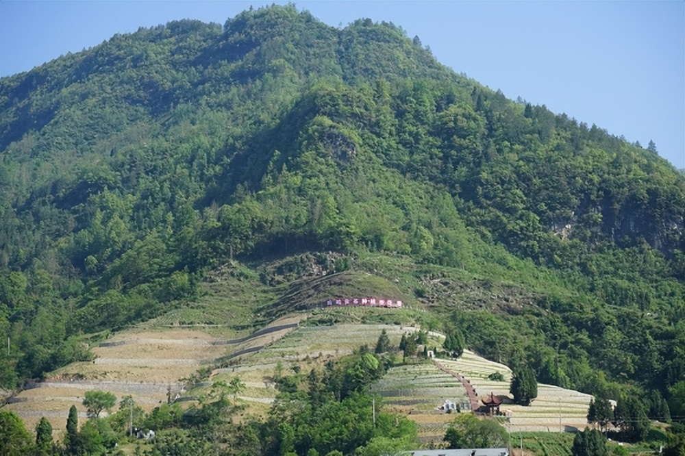 区县观察丨城口鸡鸣乡一鸣惊人因为做好了三变