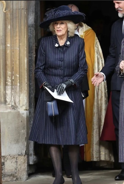 查尔斯养病,威廉凯特归隐带娃,王后卡米拉直接得势了?