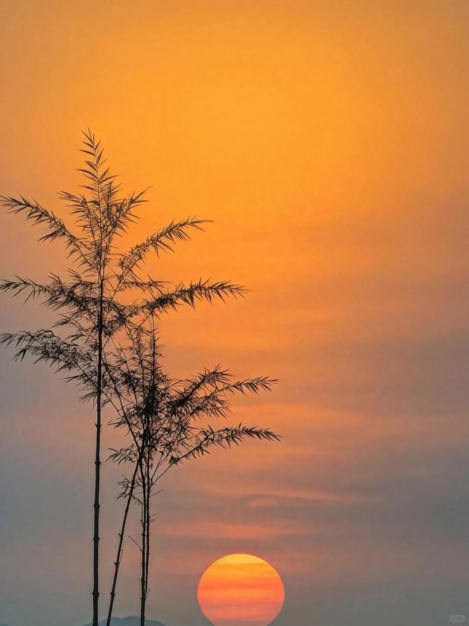 大漠孤烟直,长河落日圆.24句以小见大诗词:尺幅千里,意境壮阔