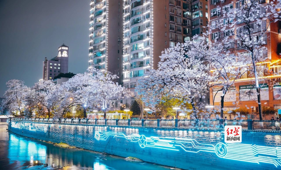 锦江新夜态越夜越美丽