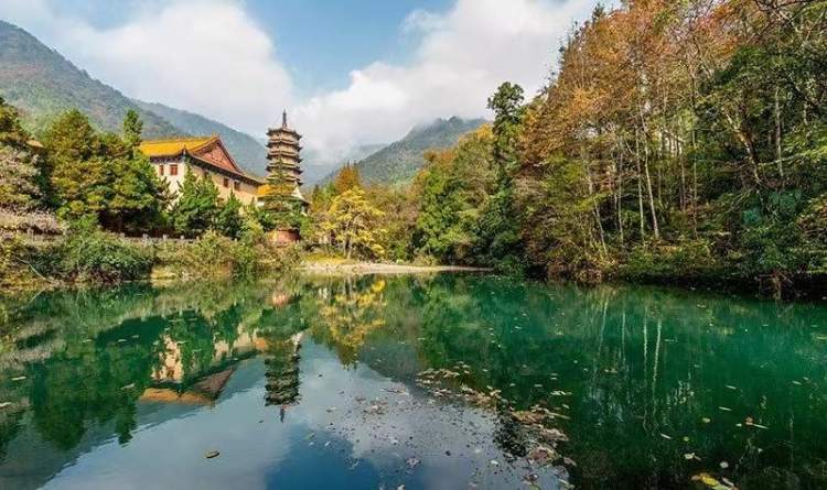 三山游记之三|天目山:大树华盖闻九州