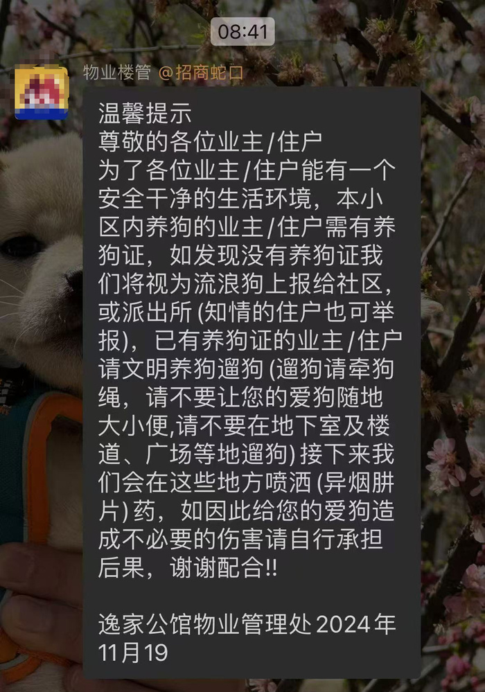 济南一小区发通知称打算下药“毒狗”，物业：系楼管私自发布，已致歉_腾讯新闻