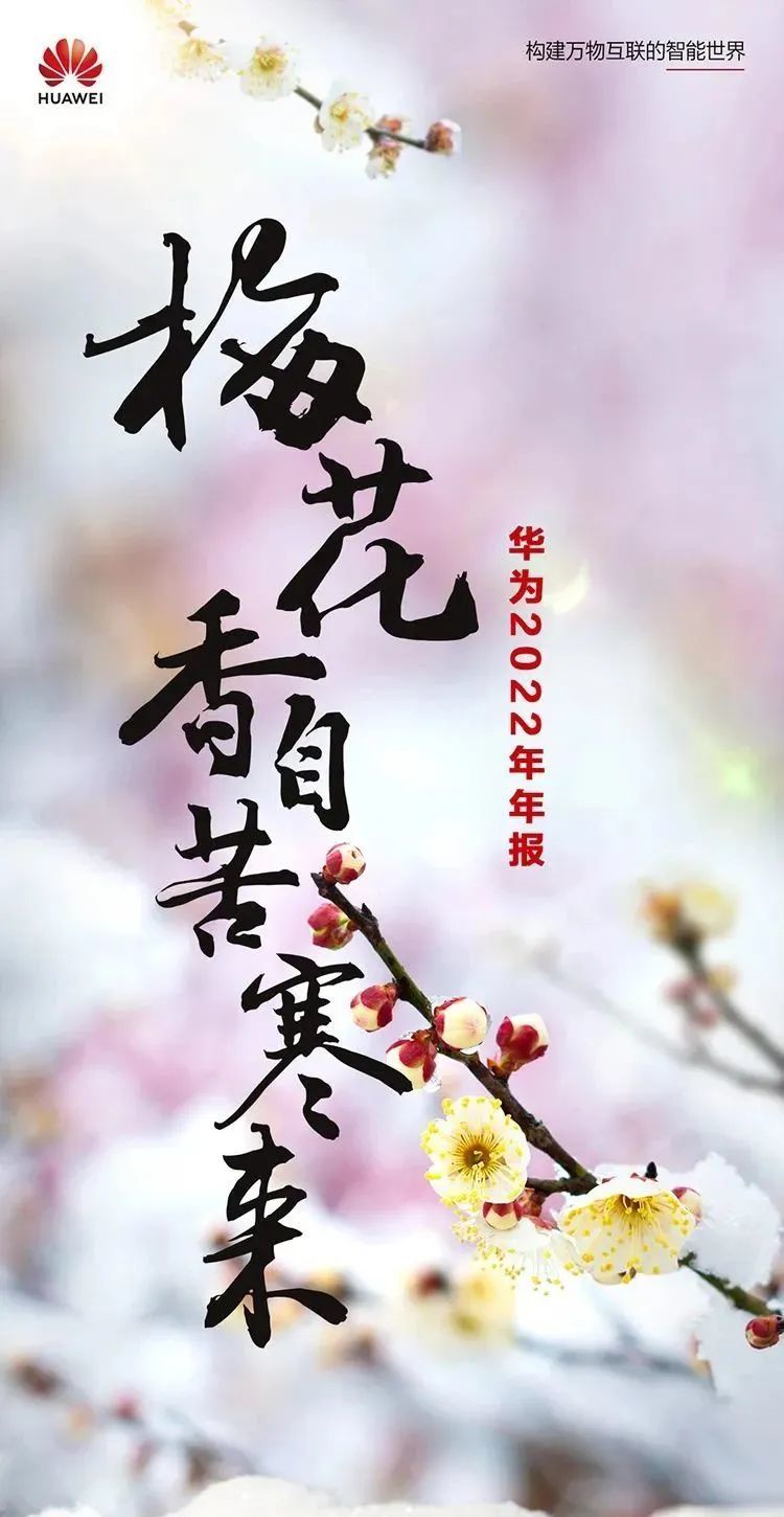 华为利润缩水，重申不造车，期待梅花香自苦寒来