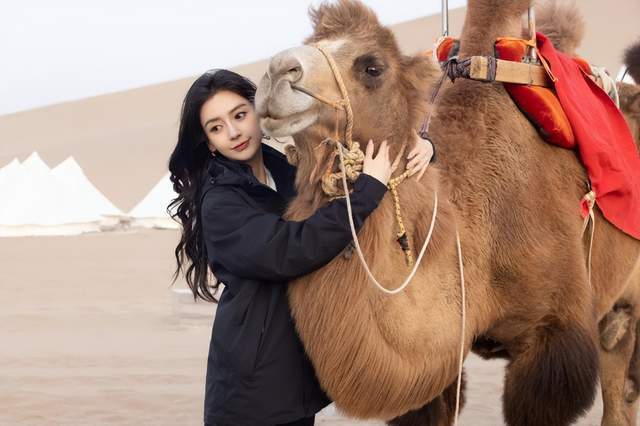 所以这么拼的angelababy没有时间去谈恋爱我们也是可以理解的,毕竟