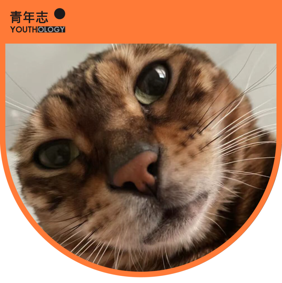 回看“洋抖难民”狂欢，80、90、00后会想到什么-腾讯新闻