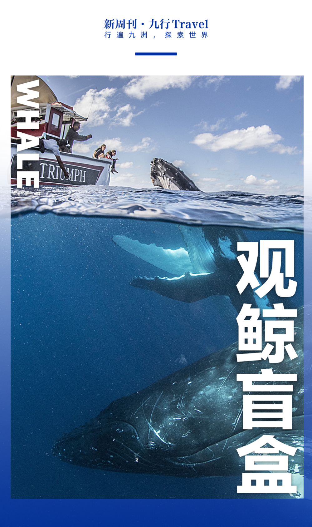 世界上最惊喜的旅行盲盒,是这一款