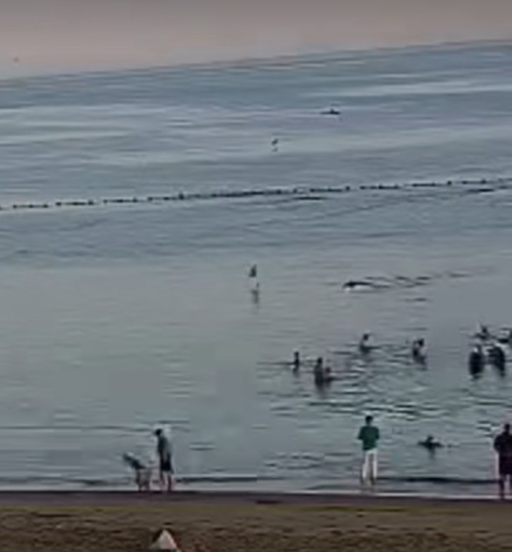 這些治癒瞬間，見證山東2025最美“警”色 - 