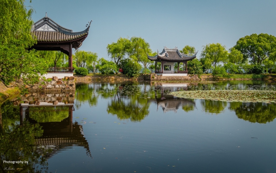 无锡蠡园的夏天