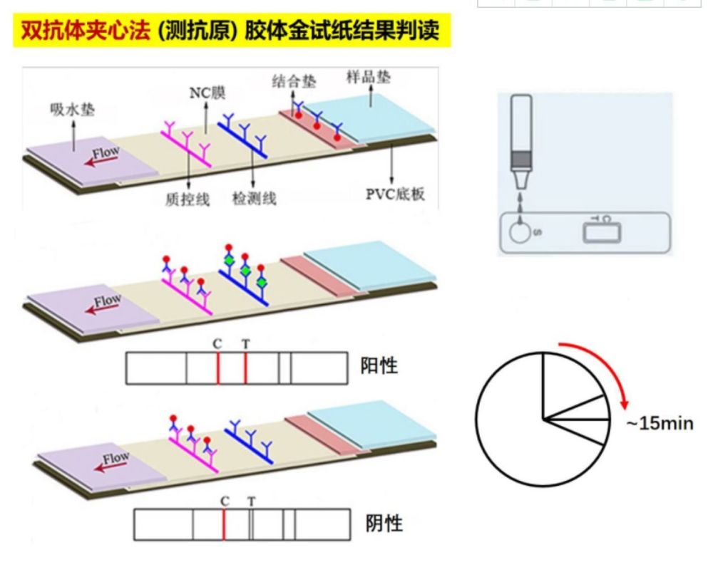 依据双抗夹心原理实现检测的
