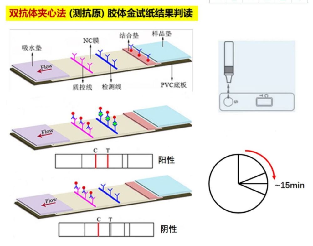 2号站注册下载地址_石家庄鲜花_石家庄鲜花速递_石家庄鲜花店_石家庄鲜花批发_石家庄鲜花网-石家庄四季鲜花-石家庄四季鲜花