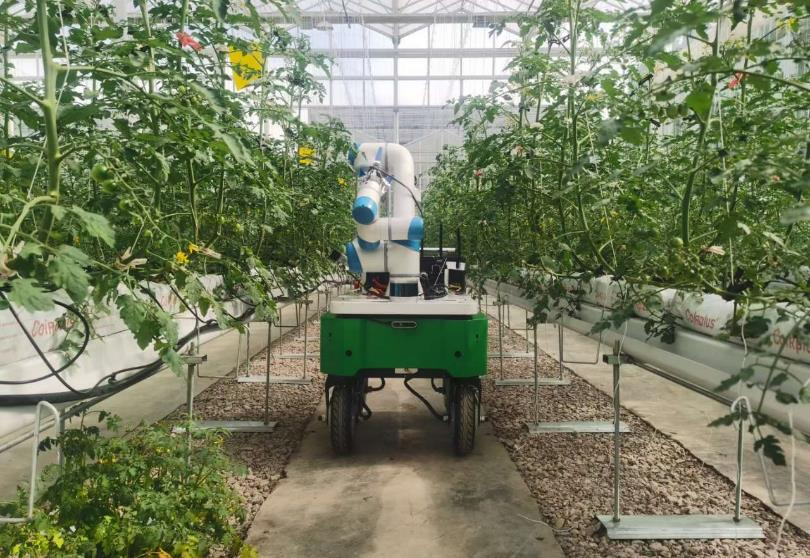 机器人农民农业领域的未来变革