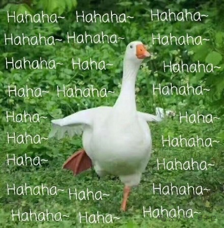 641