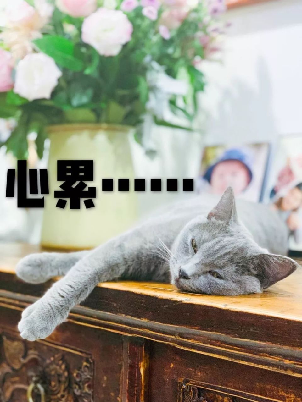 先转财产再离婚法院判少分严重时可能净身出户