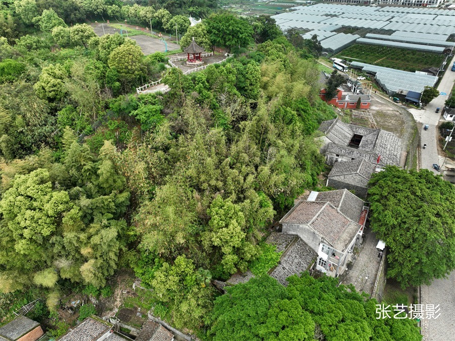 清光緒年間(1736~1796年),蒲壯所成的經濟,文化及人口發展進入鼎盛