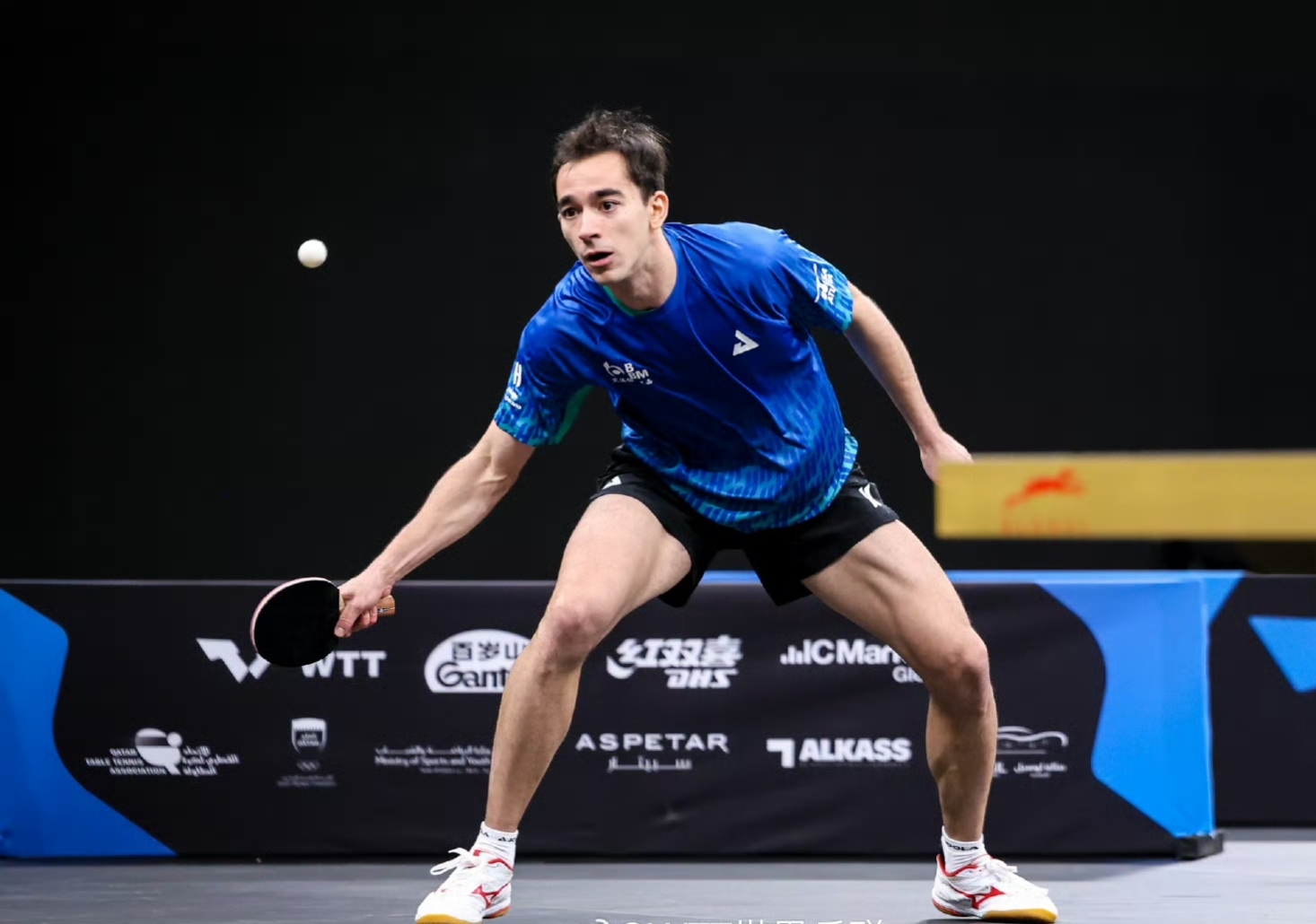 溫瑞博復仇雨果，周啟豪再勝奧恰，國乒破荒開年首金，朱雨玲多哈連奪兩冠 - 