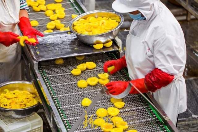 探访"中国水果罐头之都":黄桃罐头日销量增至上万单,热度从东北一路